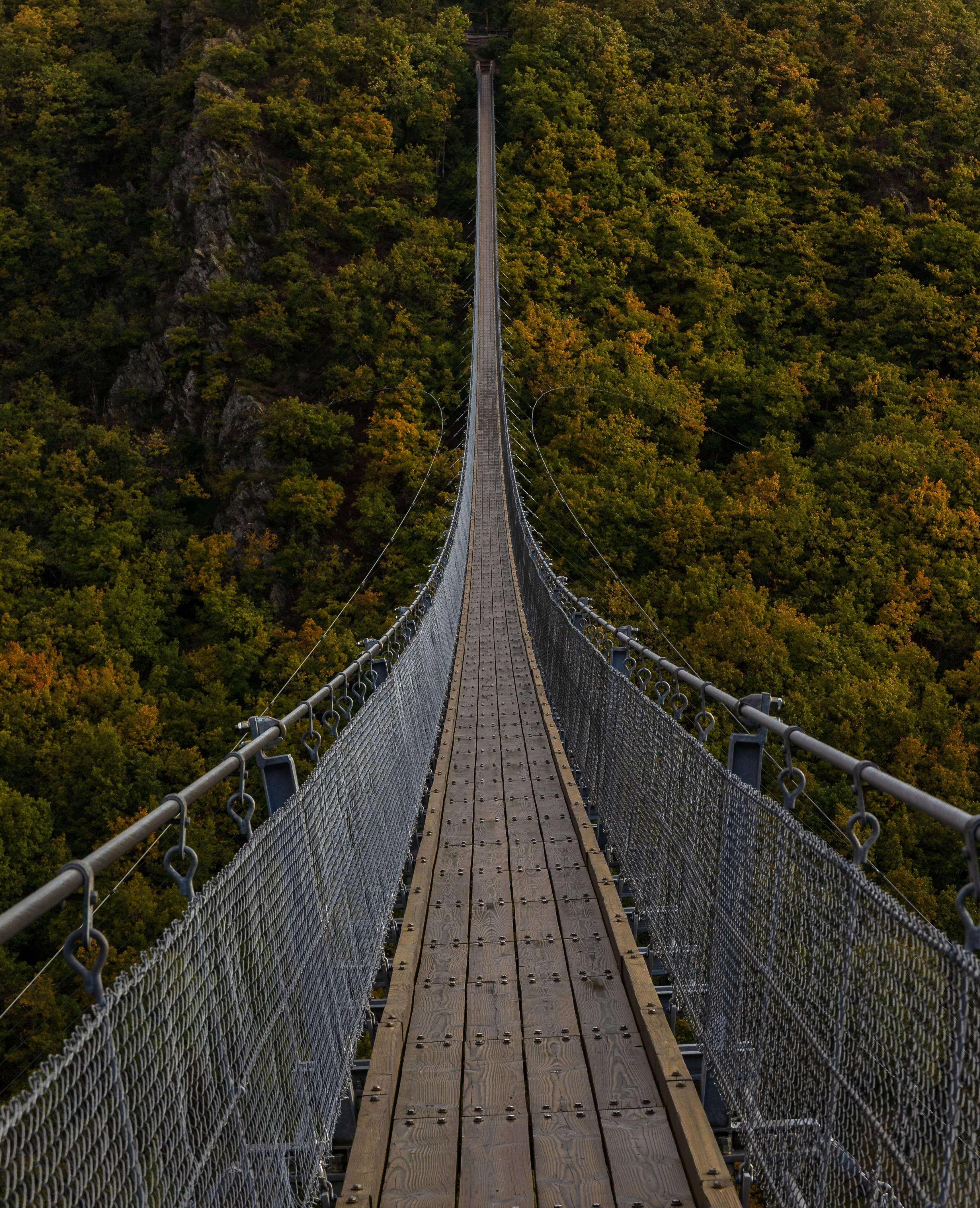 long hanging bridge over forest