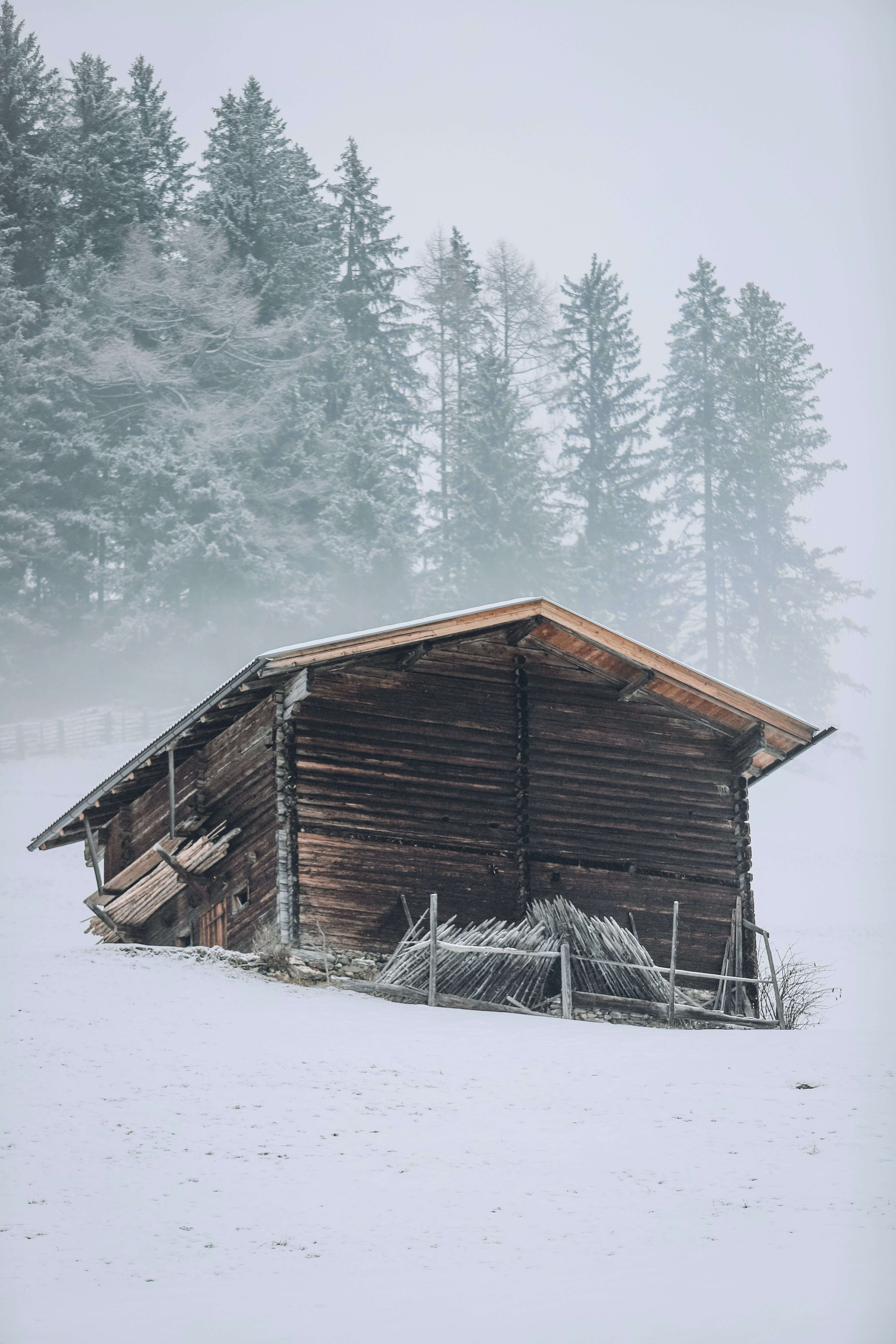 cabin in a snowy landscape